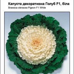Голубь F1 белые семена капусты декоративной (Satimex)
