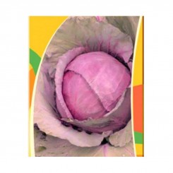 Гранат насіння капусти чорноголової (GL Seeds)