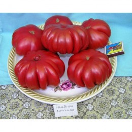Грибной козуб семена томата полудетерминантного (GL Seeds)