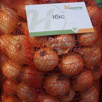 Ибис F1 семена лука репчатого озимого (Hazera)