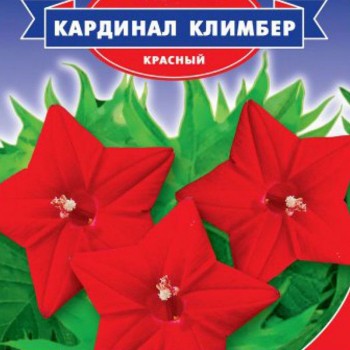 Кардинал Климбер семена квамоклита (GL Seeds)