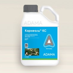 Фунгицид Карнеоль – Adama