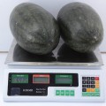КС 250 F1 (KS 250 F1) насіння помаранчевого кавуна (Kitano Seeds)