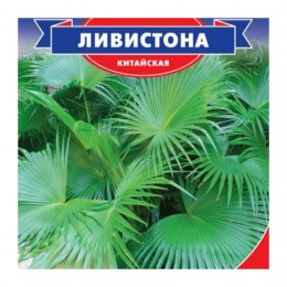 Ливистона (китайская) семена пальмы (GL Seeds)