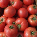 Малинка Стар F1 семена помидора индетерминантного (Cora Seeds)