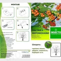 Муха вишневая феромонная ловушка (БИОхимтех)