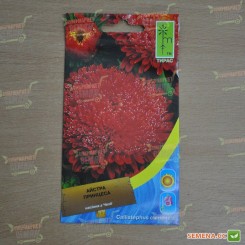 Принцесса красная (Red) семена астры (Moravoseed)