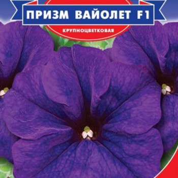 Призм Вайолет F1 семена петунии (GL Seeds)