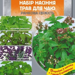 Ранкова свіжість набір насіння трав для чаю (Seedera)