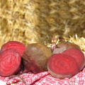 Ред Хавк F1 семена свеклы столовой (Sakata)