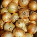 Рефлекс F1 семян лука репчатого озимого (Cora Seeds)