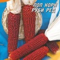 Руби ред семена кукурузы попкорн (Гелиос)