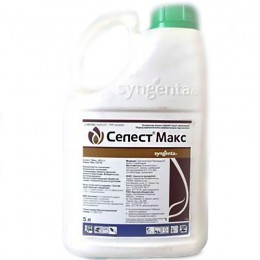 Селест Макс протравитель (Syngenta)