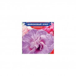 Шифоновый букет семян гибискуса (GL Seeds)
