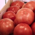 Динеро 082 F1 (ТС 02-0082) семена помидора индетерминантного (Solare Sementi)