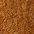 Везунчик F1 семена огурца партенокарпического (Lucky Seed)