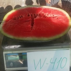 W410 F1 семена арбуза раннего (Lark Seeds)