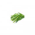 Байкал семян тархуна (GL Seeds)