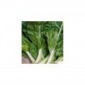Мангольд белый семена (Hortus)