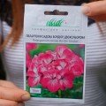 Бордюр двухцветный семена пеларгонии (Hem Genetics)