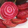 Чіогіа Гардсмарк насіння буряка столового (Sakata)