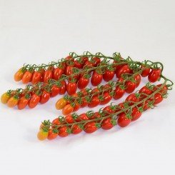 ЕС 51076 F1 (ES 51076 F1) семена помидора черри индетерминантного (Ergon seeds)