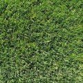 Стійка до витоптування насіння газонної трави (Feldsaaten Freudenberger GmbH)