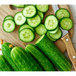 Герман семян огурца пчелоопыляемого (GL Seeds)
