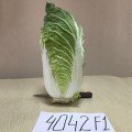 JS 4042 F1 (калібр.) насіння капусти пекінської (Joeun Seeds)