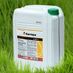 Гербіцид Каптора - Syngenta