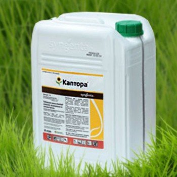Гербицид Каптора - Syngenta