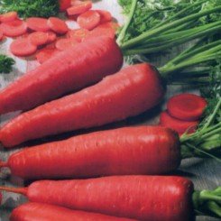 Карамелька семян моркови Флакке ранней 70-90 дн.15-16 см (Империя Семена)