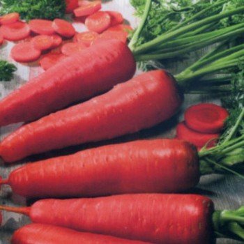 Карамелька семян моркови Флакке ранней 70-90 дн.15-16 см (Империя Семена)