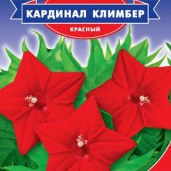 Кардинал Климбер семена квамоклита (GL Seeds)