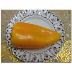 Карпатия семян перца сладкого (GL Seeds)