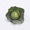 Кіластресс F1 насіння капусти б/г пізньої 120-125 дн. 4-5 кг окр. (Syngenta)