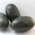 КС 250 F1 (KS 250 F1) насіння помаранчевого кавуна (Kitano Seeds)