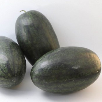 КС 250 F1 (KS 250 F1) насіння помаранчевого кавуна (Kitano Seeds)