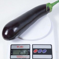 КС 5070 F1 семена баклажана раннего (Kitano Seeds)