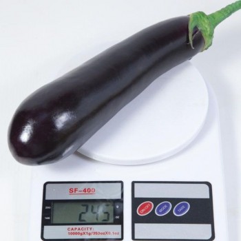 КС 5070 F1 семена баклажана раннего (Kitano Seeds)