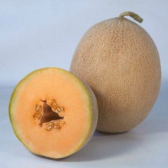 Трибека F1 (KS 6147 F1) насіння дині (Kitano Seeds)