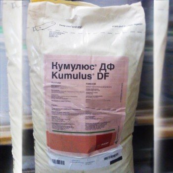 Фунгицид Кумулюс ДФ – BASF