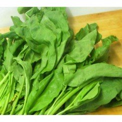 Малахіт насіння шпинату (GL Seeds)