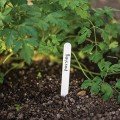 Маркер для рослин 15x1,5 см (25 шт.) TYE1515 (Bradas) Маркер для рослин 15x1,5 см (25 шт.) TYE1515 (Bradas)