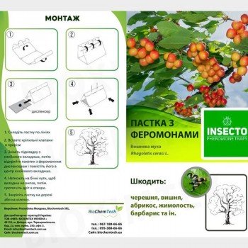 Муха вишнева феромонна пастка (БІОхімтех)