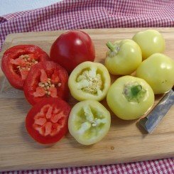 Онтара семян перца сладкого (Moravoseed)