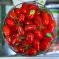 Пекбол F1 (142-520) насіння помідора черрі індетермінантного зливу (Yuksel)