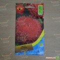 Принцеса червона (Red) насіння айстри (Moravoseed)