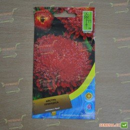 Принцесса красная (Red) семена астры (Moravoseed)
