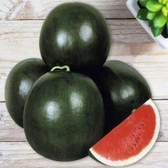Ромерия F1 семян арбуза среднего (United Genetics)